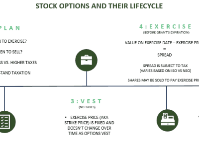 Stock Options' Lifecycle