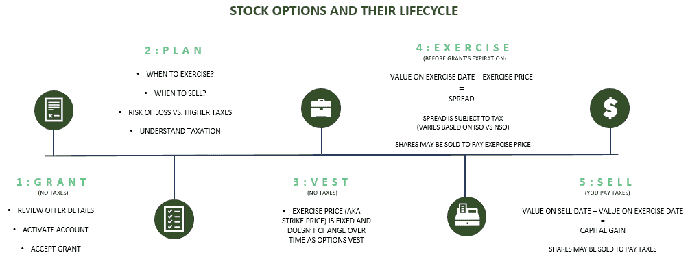 stock options lifecycle